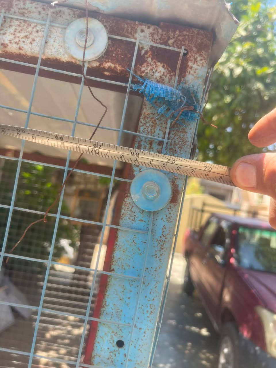 سلام عليكم محميه للبيع طول 180عرض 177 سقف جينكو شراي اتصل ***********
