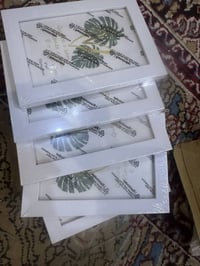 اطارات صور • ٢٠ تقريبا • خاص