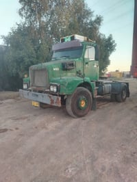 البيع راس افالفو 07816529352 السعر 35