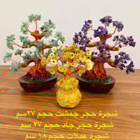 تخفيضات كبرى على بكجات الأشجار  العرض لفترة محدودة  للمزيد من المعلوما...