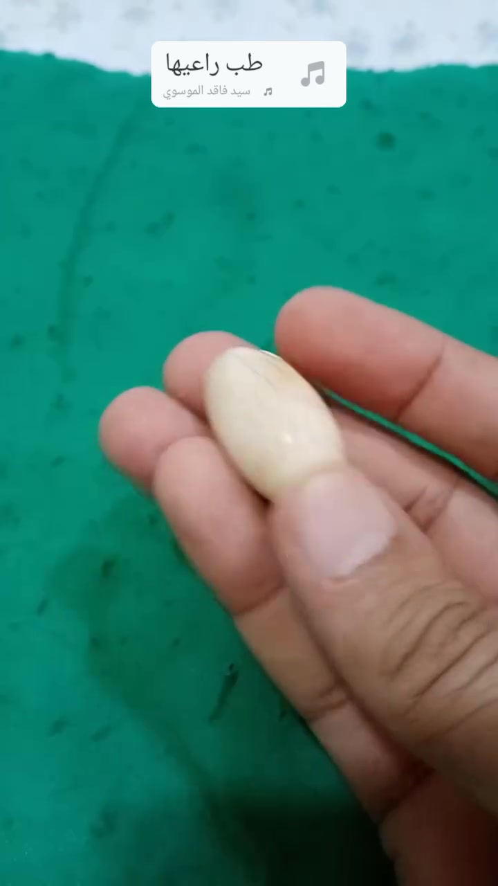 عطف اصيل ...وتحف


**إذا كنت صاحب هذا الإعلان وتريد حذفه لأي سبب، رجاءا أرسل رسالة إلى الدعم الفني**