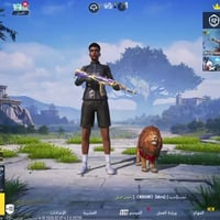 حساب نادر • سقوط B • اطارات وسكنات