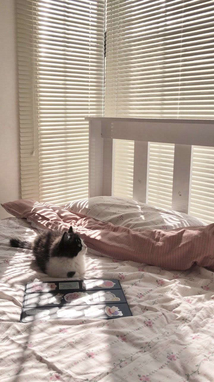 للبيع 3 اسرة خشب تركي قياس 200*160 مع الدواشك اسفنج عراقي ضغط عالي ابو الحبل نظافته 95٪؜ اخو الجديد 
2 سرير لون ابيض 
1 سرير لون رصاصي
السعر للسرير الواحد مع الدوشك 250 الف


**إذا كنت صاحب هذا الإعلان وتريد حذفه لأي سبب، رجاءا أرسل رسالة إلى الدعم الفني**