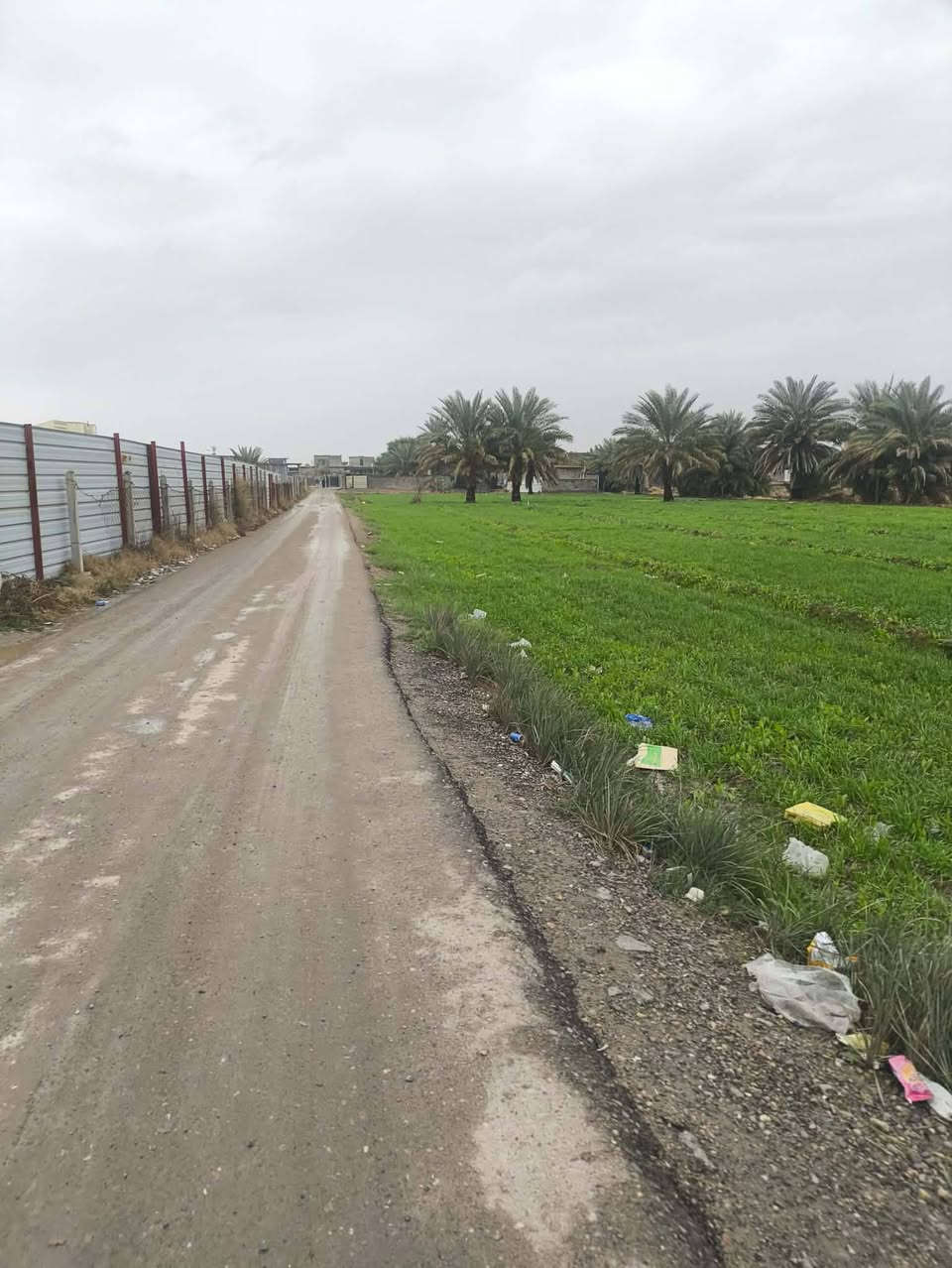 *فرصة استثمار ذهبي ما تتكرر 🔥*
*أرض للاستثمار أو للايجار على الخدمي مباشرة - مقابل جسر بوابة السلام*

---

### *📌 وصف الأرض*

*الموقع:*  

على الشارع الخدمي مباشرة، *مقابل جسر بوابة السلام* بالضبط.  

الموقع بين بغداد والفلوجة - نقطة مرور يومية لآلاف السيارات. يعني زبونك يجيك برجله.

*المساحة:* [: ٢ دونم]  

قابلة للتقسيم أو الاستثمار ككتلة واحدة.

*الواجهة:*  

واجهة مباشرة على الخدمي = سهولة دخول وخروج + دعاية مجانية للمشروع.

---

### *💧⚡ المميزات الجاهزة*

*1. خط كهرباء واصل للأرض*  

ما تحتاج مولد من أول يوم. تقدر تبني، تشغل مضخات، تبرد، تبيع ليل نهار.

*2. خط ماء شرب واصل*  

ماي نظيف للسقي، للعمال، لأي مشروع غذائي. وفرت عليك حفر بير ومحطة تحلية.

*3. تربة خصبة + موقع استراتيجي*  

تصلح لـ:

- مخازن للمواد الإنشائية 

- مخازن للمواد الغذائية 

- محطة استراحة + كافتيريا + مغسلة

- معرض سيارات / مواد بناء

- مشروع دواجن أو أغنام

---

### *💰 طريقة الاستثمار*

*للشراكة:* مرحب بالشركاء الجادين بنسبة أرباح واضحة  

*للإيجار:* ممكن إيجار طويل الأمد للمشاريع الجادة

---

### *📞 للاستفسار والمعاينة************

*المعاينة مفتوحة يومياً*  

اتصل الآن وحدد موعد تشوف الأرض على الطبيعة:

*ملاحظة:* الأرض طابو صرف، الأوراق كاملة ونظيفة. لا سماسرة، مباشر مع المالك.

---

*"الأرض اللي تخدم الناس، الناس تخدمها"*  

*شارك الإعلان... يمكن رزق واحد من معارفك واقف على هاي الفرصة* 🤍
