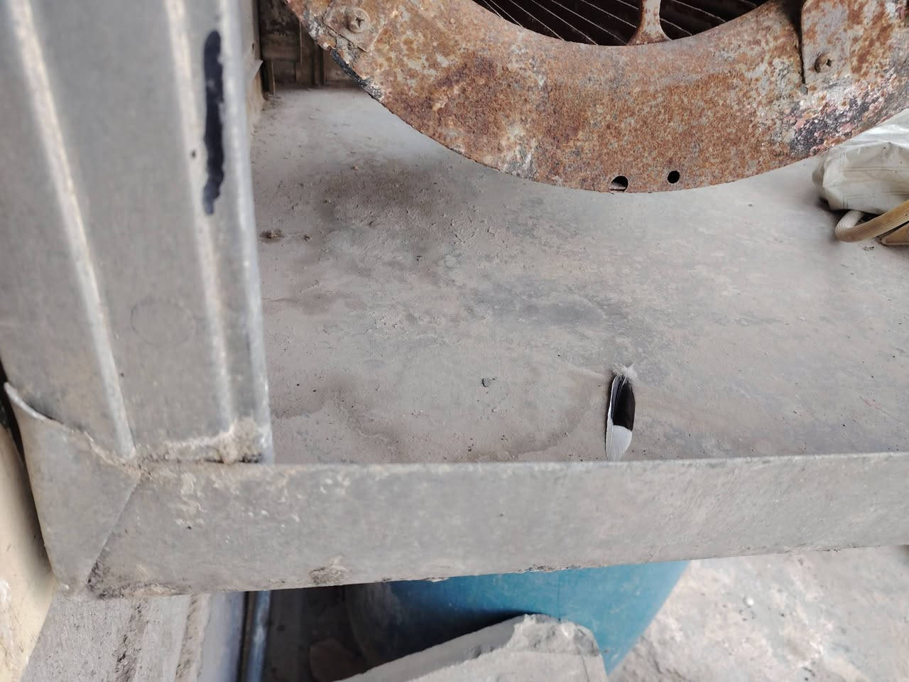 مبرده فافون الهيكل لازنجار ولاشي قيم واخذ او مراوس بام الخرطوم واطي فرق


**إذا كنت صاحب هذا الإعلان وتريد حذفه لأي سبب، رجاءا أرسل رسالة إلى الدعم الفني**