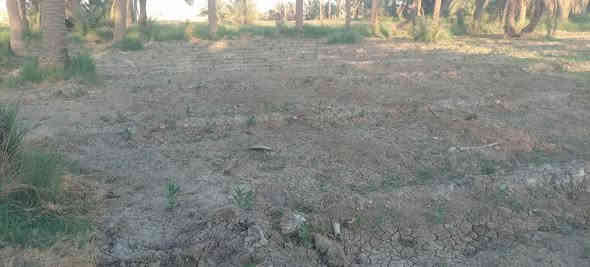 ١٨ دونم طابوا زاعي كربلاء الخيرات سند منفرد باسم شخص واحد سعر الدونم ٢٧ بيه مجال قليل ينباعن شلعه وحده ***********
