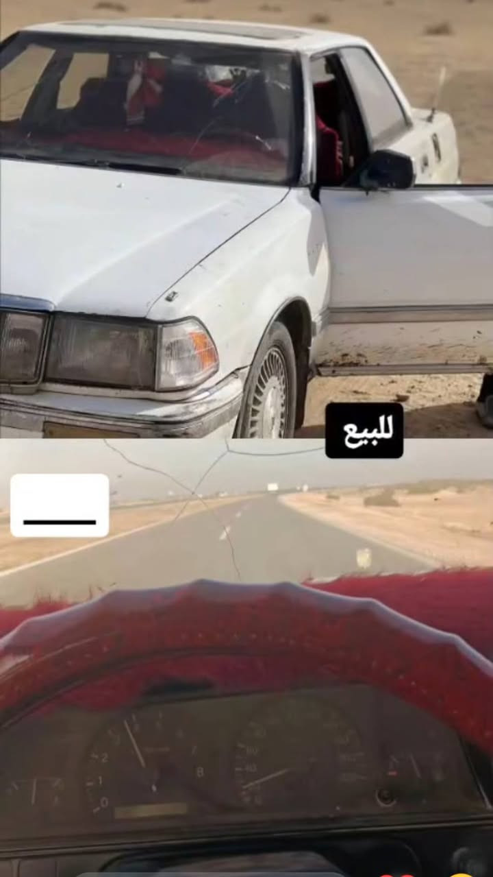 سلام عليكم هارتوب رقم بصرة المالك بالشطرة تحويل ثاني يوم جاهزة كير ومحرك وحدادية وتخم تاير كلة جديد بيهة يخاساف فقط ومكفولة من الكص والعيب الشرعي
السعر 28 وبيهة مجال وترهم مراوس 
المكان قضاء الشطرة 
***********
