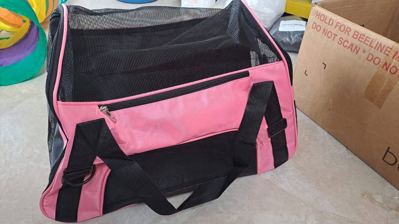 اغراض حيوانات اللي اله بيهن رزق يدفع سعر متواجد فيس بوك


**إذا كنت صاحب هذا الإعلان وتريد حذفه لأي سبب، رجاءا أرسل رسالة إلى الدعم الفني**