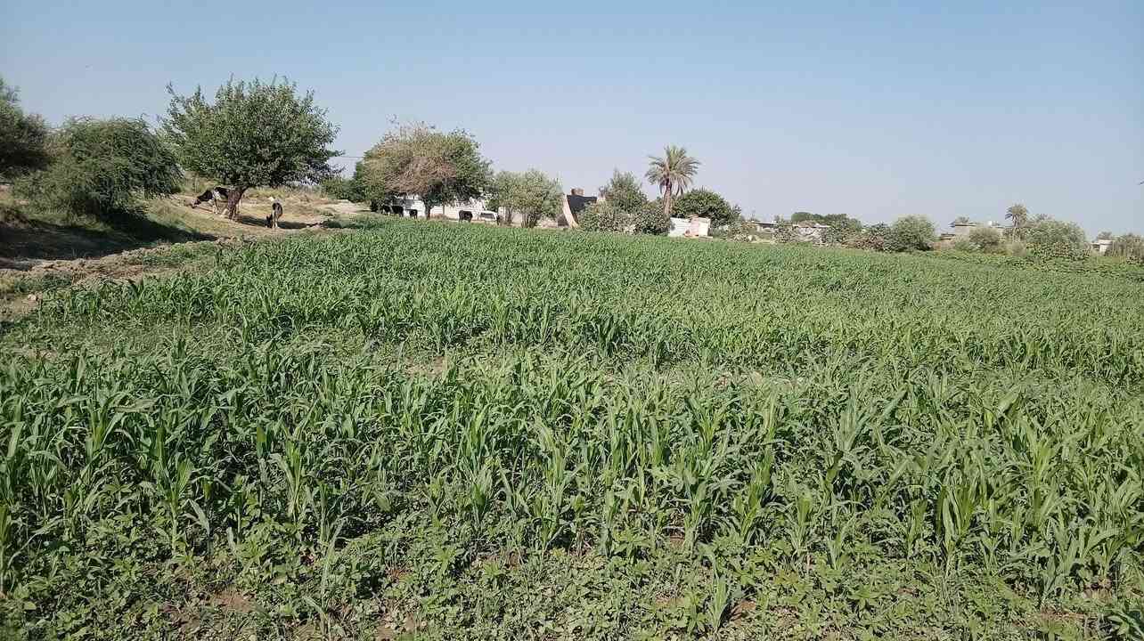 حيدر ضمانه اذر ضمان اي واحد يدور خليه يخابرني هذا لا ضمانه ومناسبه خوش دره للضمانه خوش يدرى للضمانه خوش دره للضمانه خوش يدرى للضمانه ومناسبه بسعر مناسب اي واحد يريد خليه يخابرنا مقابيل بستان الصلال اي واحد يريد خليه يخابرنا خوش ذره ومناسبه بسعر مناسب


**إذا كنت صاحب هذا الإعلان وتريد حذفه لأي سبب، رجاءا أرسل رسالة إلى الدعم الفني**