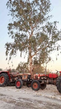 مشتري مستعجل • مركبات • واسط قضاء الحي