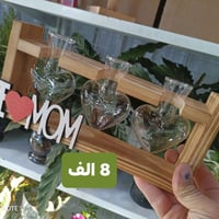 دوارق ديكور • الرمادي العزيزية • توصيل الرمادي