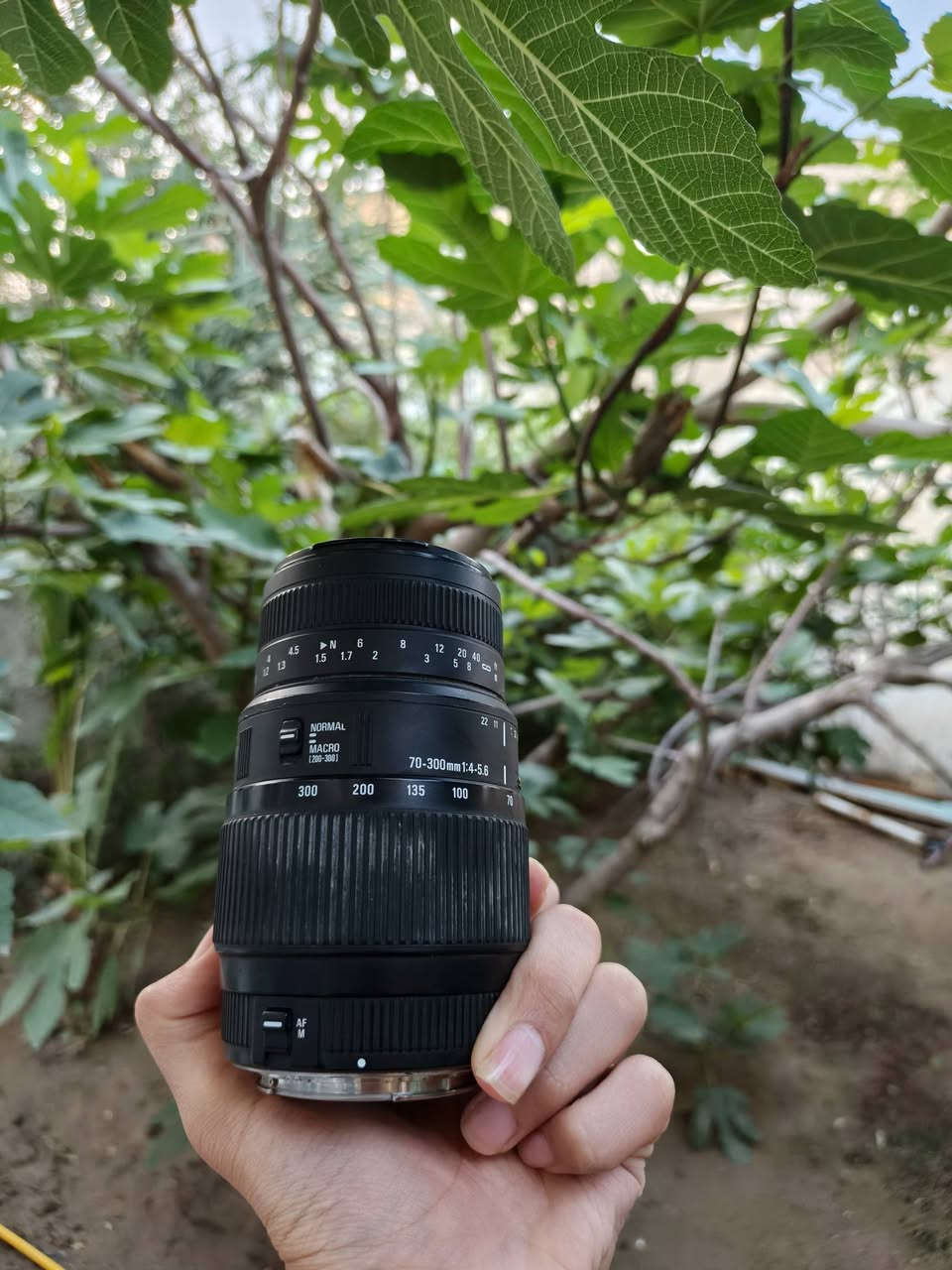 زوم كانون 70/300 للبيع


**إذا كنت صاحب هذا الإعلان وتريد حذفه لأي سبب، رجاءا أرسل رسالة إلى الدعم الفني**