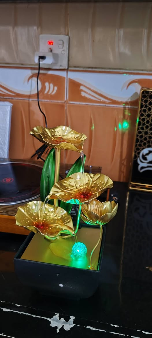 نافورات مكتبيه كلش حلوات


**إذا كنت صاحب هذا الإعلان وتريد حذفه لأي سبب، رجاءا أرسل رسالة إلى الدعم الفني**