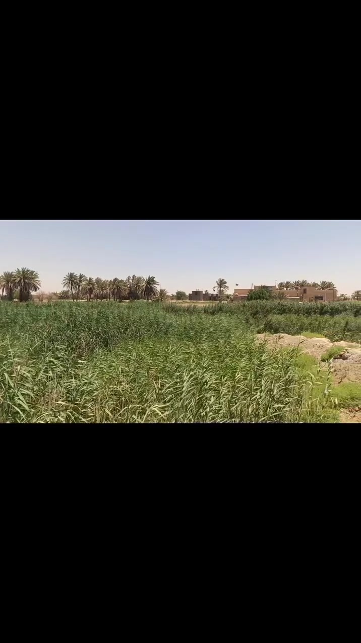 للبيع موجود دونم وربع مسيج على الشط/ وموجود دونمين بستان  تفاصيل خاص منطقة الامام المهدي بعد الجسرين


**إذا كنت صاحب هذا الإعلان وتريد حذفه لأي سبب، رجاءا أرسل رسالة إلى الدعم الفني**