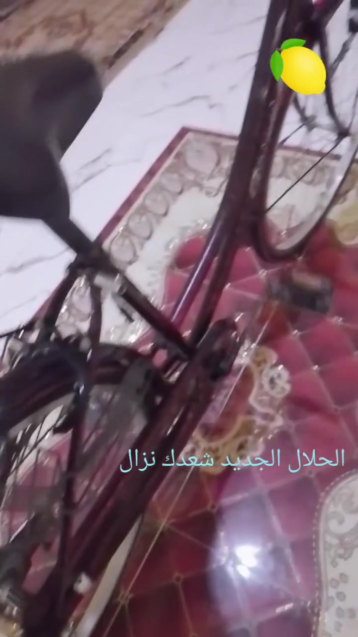 السلام عليكم عدي باسكل البيع مكان السماوة قضاء الخضر سعر 110
