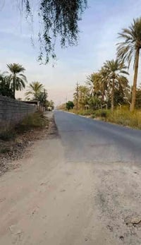 المدائن سيد علي • ٥ دونم • طابو ملك صرف