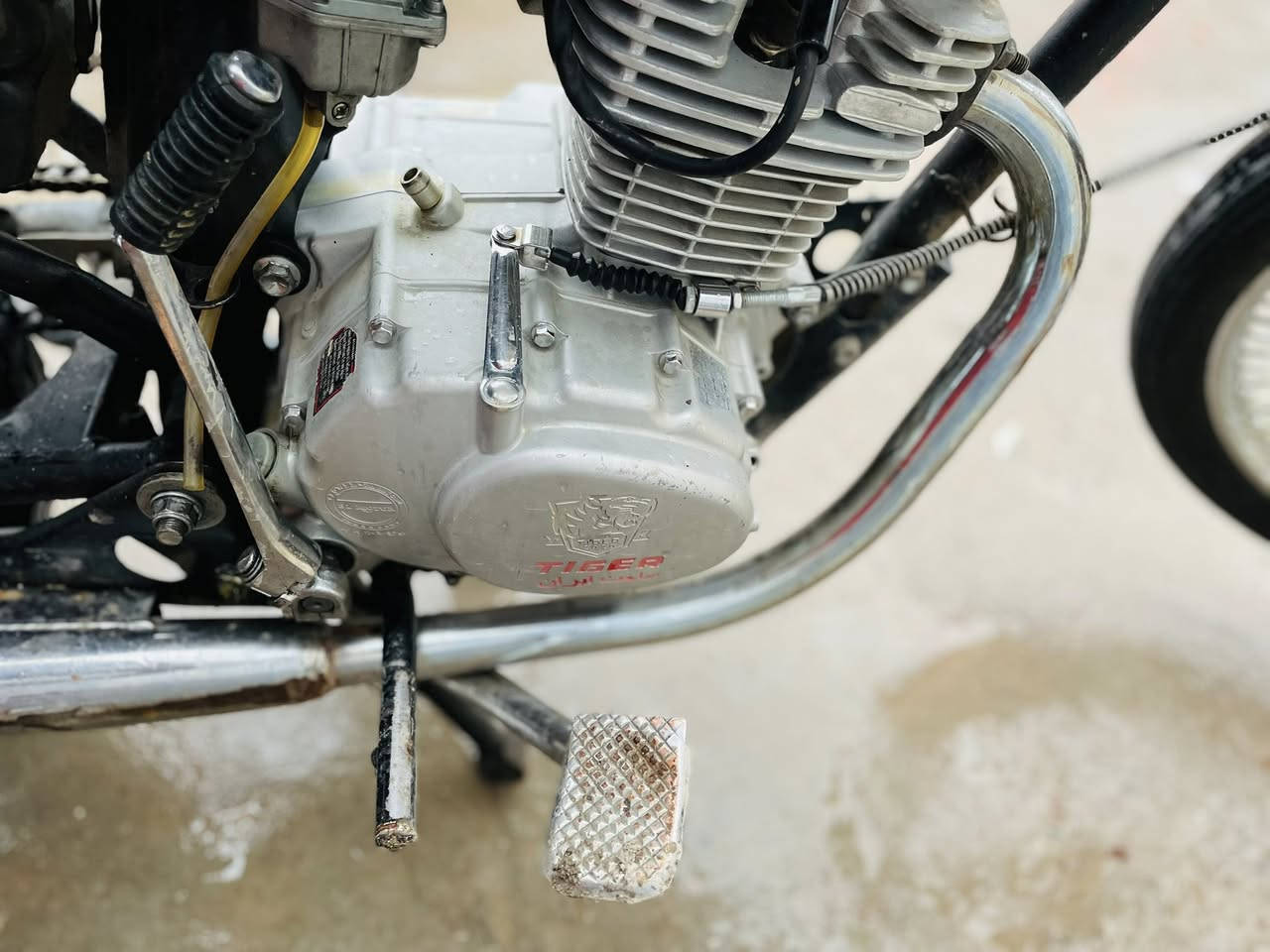 2019
260
***********
