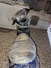 ساسوكي • ما تمشي • نيسان المجر الكبير