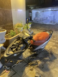 ماكس ثعلب 140 • طافيه • بدها شوته