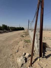 دونم • الزبير • الدواجن