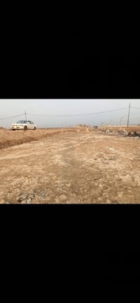 الحلة الوردية • ٢٧٥م • زراعي