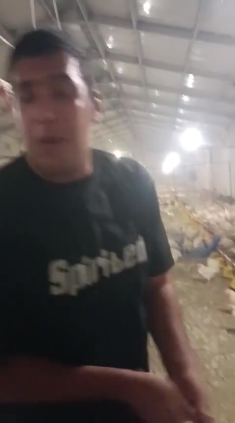 سلام عليكم دجاج البيع مناسب 4ب10 الف جمله يختلف السعر بكاني ديالى هبهب توصيل عنتي علا هاث الرقم ***********

