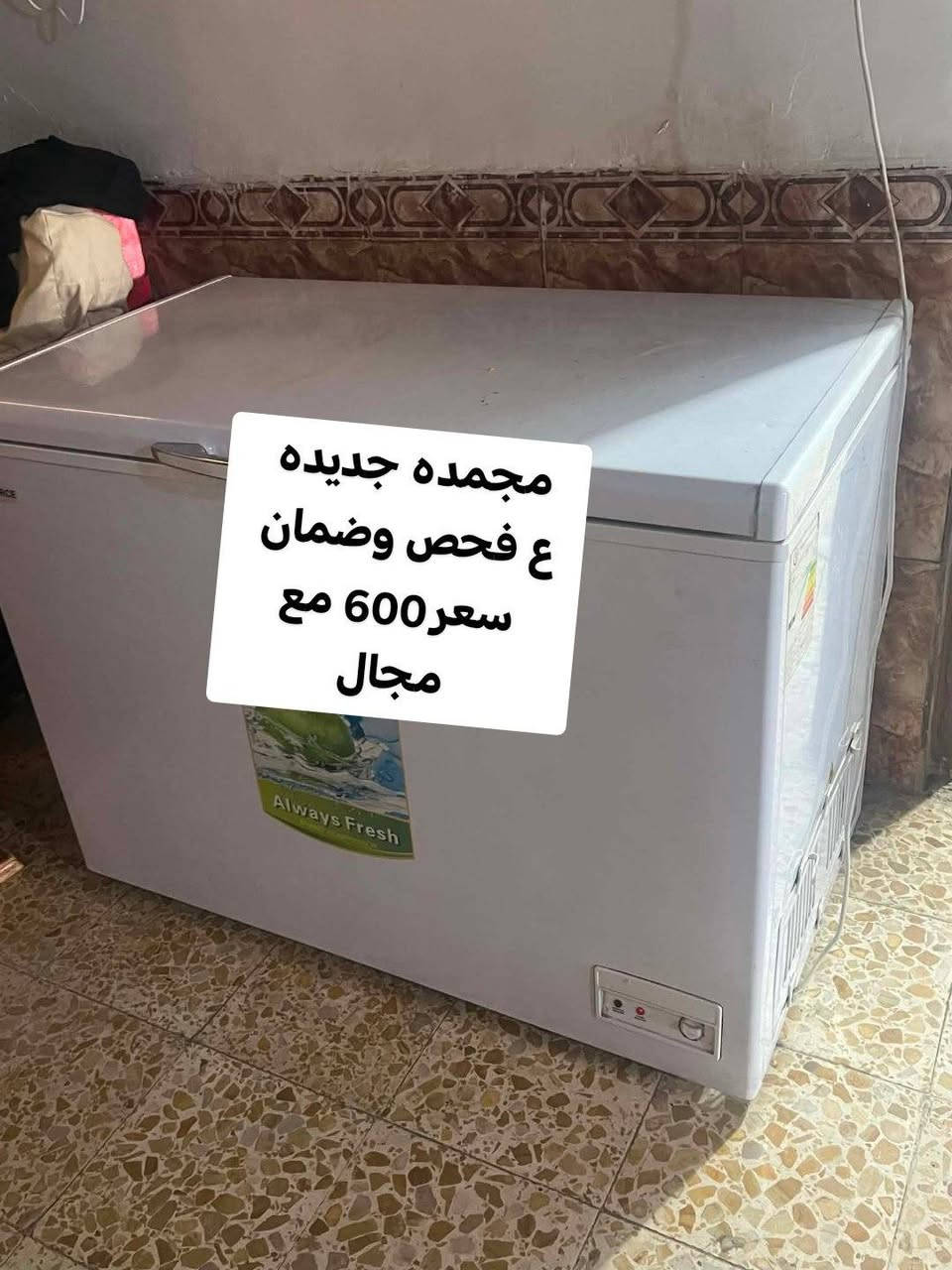مندوبه غراض 
غراض للبيع اسعارهن مكتوبه مكان نجف


**إذا كنت صاحب هذا الإعلان وتريد حذفه لأي سبب، رجاءا أرسل رسالة إلى الدعم الفني**