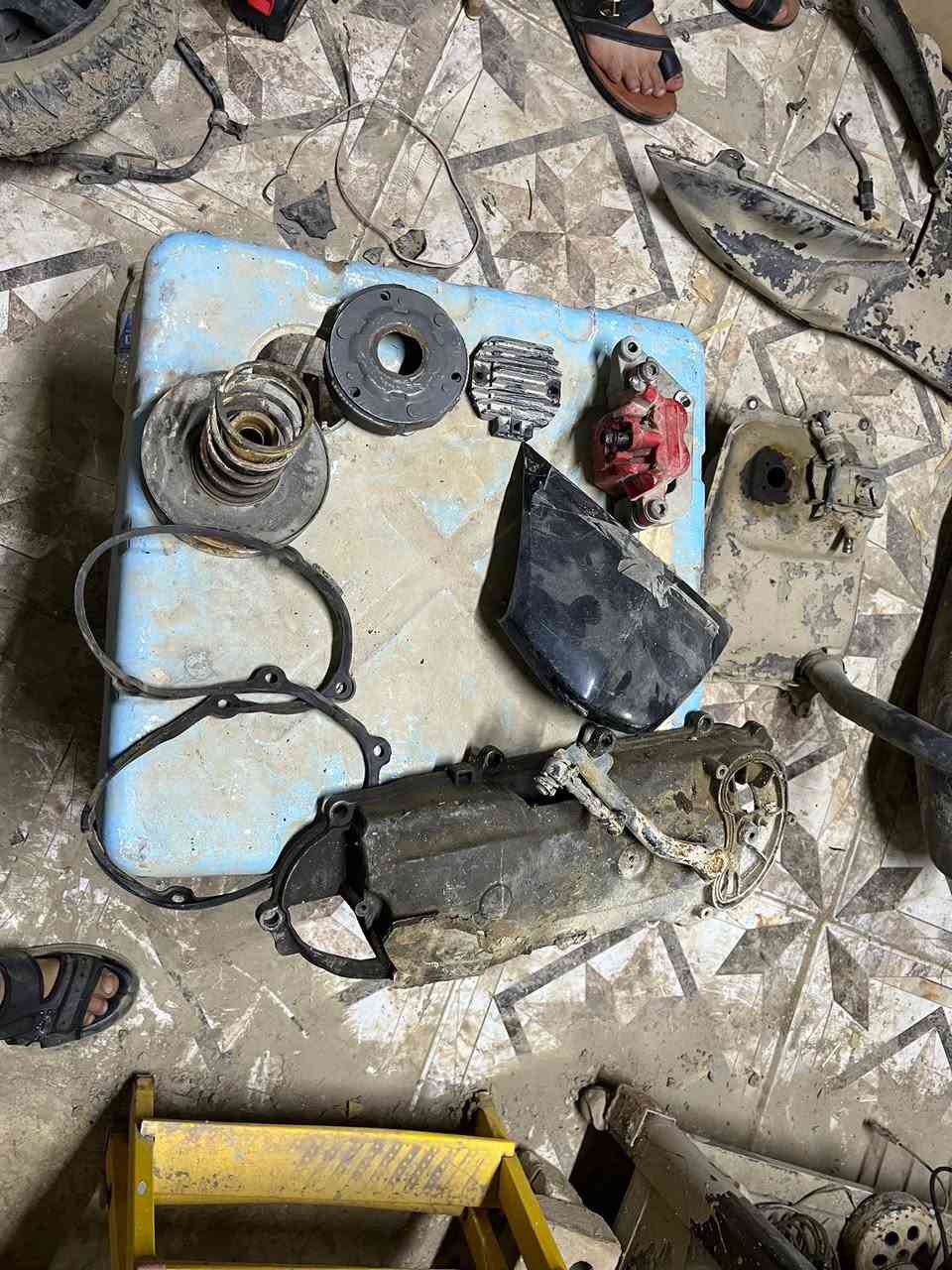 السلام عليكم
من رخصت صاحب الكروب عندي غراض سكنس نثيه او فحل كلشي متوفر هاي الصور جزء من الغراض الموجوده عندي 
العنوان بغداد الراشدية
الرقم ***********
موجود واتساب و خاص
