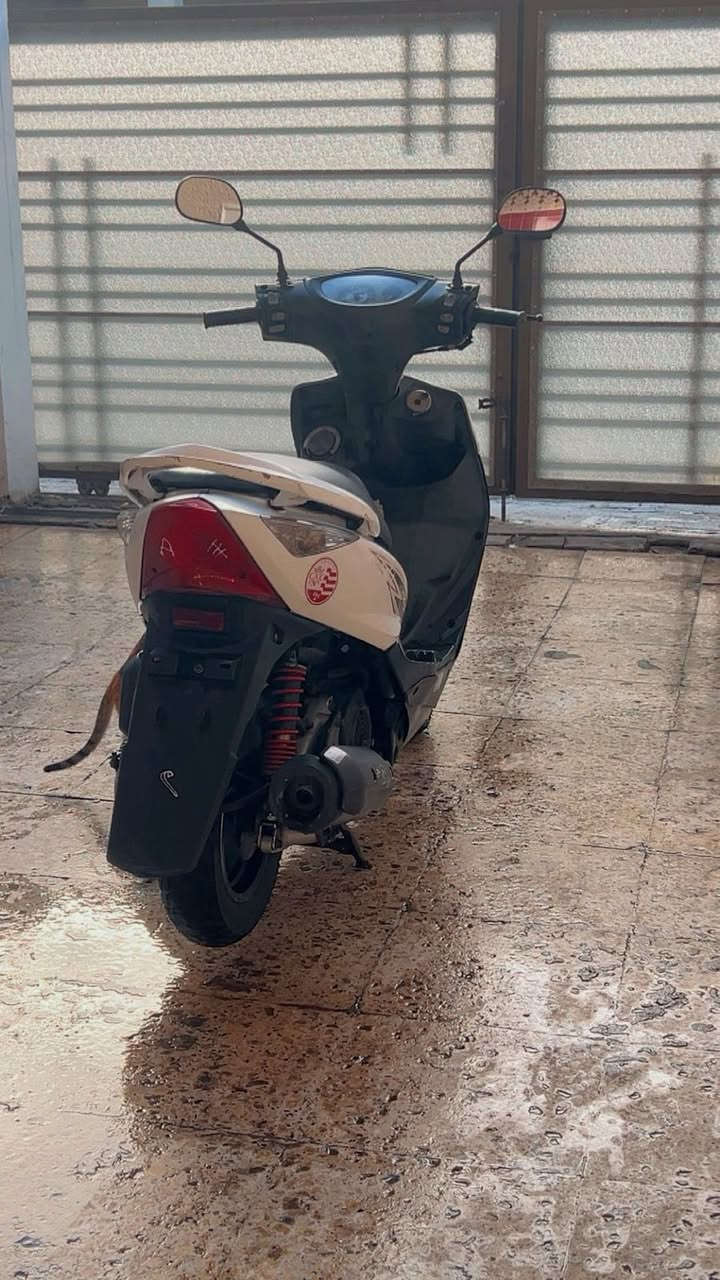 سلام عليكم عندي ماكس ثعلب مكينتها مفتوحه ولفات ووبيها صار صوت زنجيل درجه شلعه ومعدل وكلشي مابيها بس الصوت خفيف اريد مراوس بب ريز ***********
