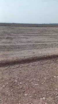 كنعان نهر ابراهيم • ٢٥٠٠م • واجه ٥٠ نزول ٥٠