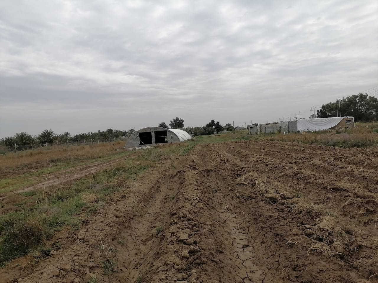 سلام عليكم ارض زراعيه لبيع تريد هيه والحقل تريد بس ارض عادي كافت الخدمات ماء اساله كهرباء خطين وطني  شارع رسمي تبعد عن الولايه ٥دائق خابر ودلل *********** الموقع ع طريق بعير
