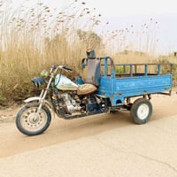 الفحل • ٢٠٠٧ • ستوته