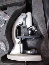 مجهر ضوئي • عدسة 100x • حي الأسرى المفقودين