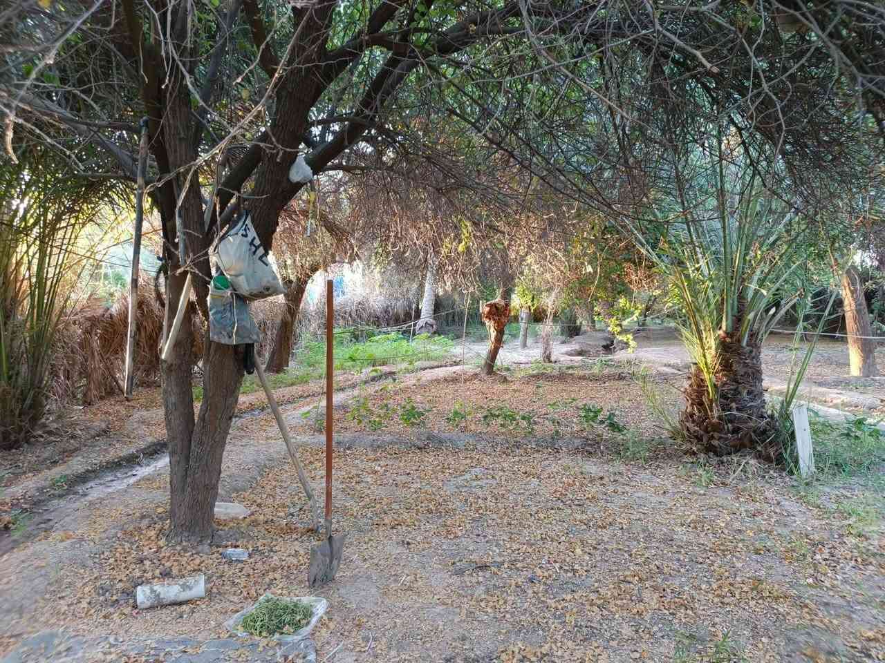 ياللله توكل على اللله
عدي دونمين للبيع بساتين دفاس بي ست ابيوت مساحته6250 سعرها 950 طابوا صرف 
دونمين ونص طابو ملك صرف اسود عثماني بيه 6 بيوت مكانه بساتين الدفاس قرب الاساله الثانية

استفسار على رقم***********
