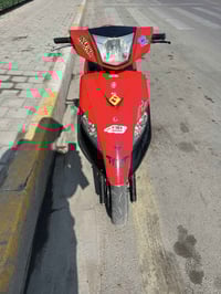 ثعلب • ٢٠٠٨ • زنون