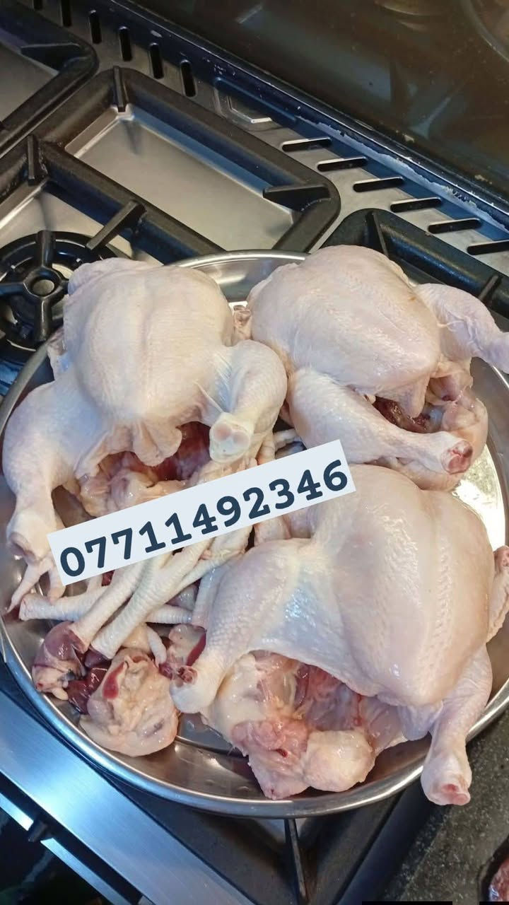 دجاج محلي نمبر وان نذبح وندزلك يستوي بدون زفرة يخبل تكلولي الف رحمه ع والديج 
كيلو ب3500   كل 5دجاجات  كيلو ب3250نحسبه 

حجز واتساب ماسنجر متوقف ***********
