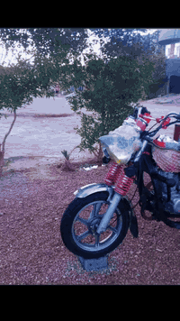 السلام عليكم ستوته للبيع موديل 19 بلاديه مغلفه ما بها نقص برقي جاهزه السعر مليون و650 اوراق بيها مدمرقه مكاني الرمادي 5 كيلو حي الزيتون ‏‪‏‪***********‬‏
