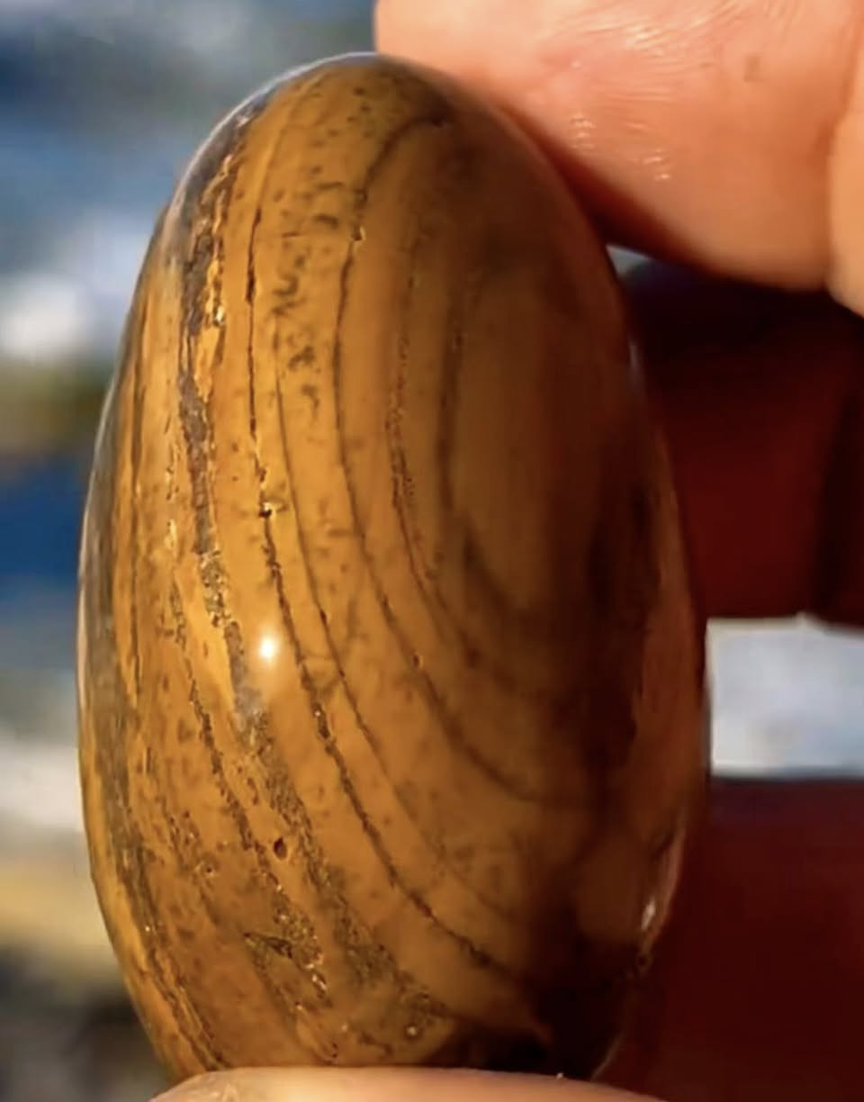 Dendritic Yellow Jasper displays Liesegang banding with concentric yellow and brown rings in a silica matrix. A dark band marks secondary mineral infiltration, with iron or manganese oxide dendrites branching through the stone.
#omarthemoroccanrockhound
#omarthemoroccantraveller
#امودو_على_الدراجات
#dendriticjasper
#omarsstones
#omarsbeach


**إذا كنت صاحب هذا الإعلان وتريد حذفه لأي سبب، رجاءا أرسل رسالة إلى الدعم الفني**