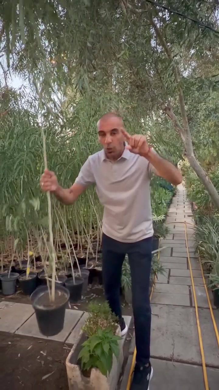 بارك الله فيك


**إذا كنت صاحب هذا الإعلان وتريد حذفه لأي سبب، رجاءا أرسل رسالة إلى الدعم الفني**