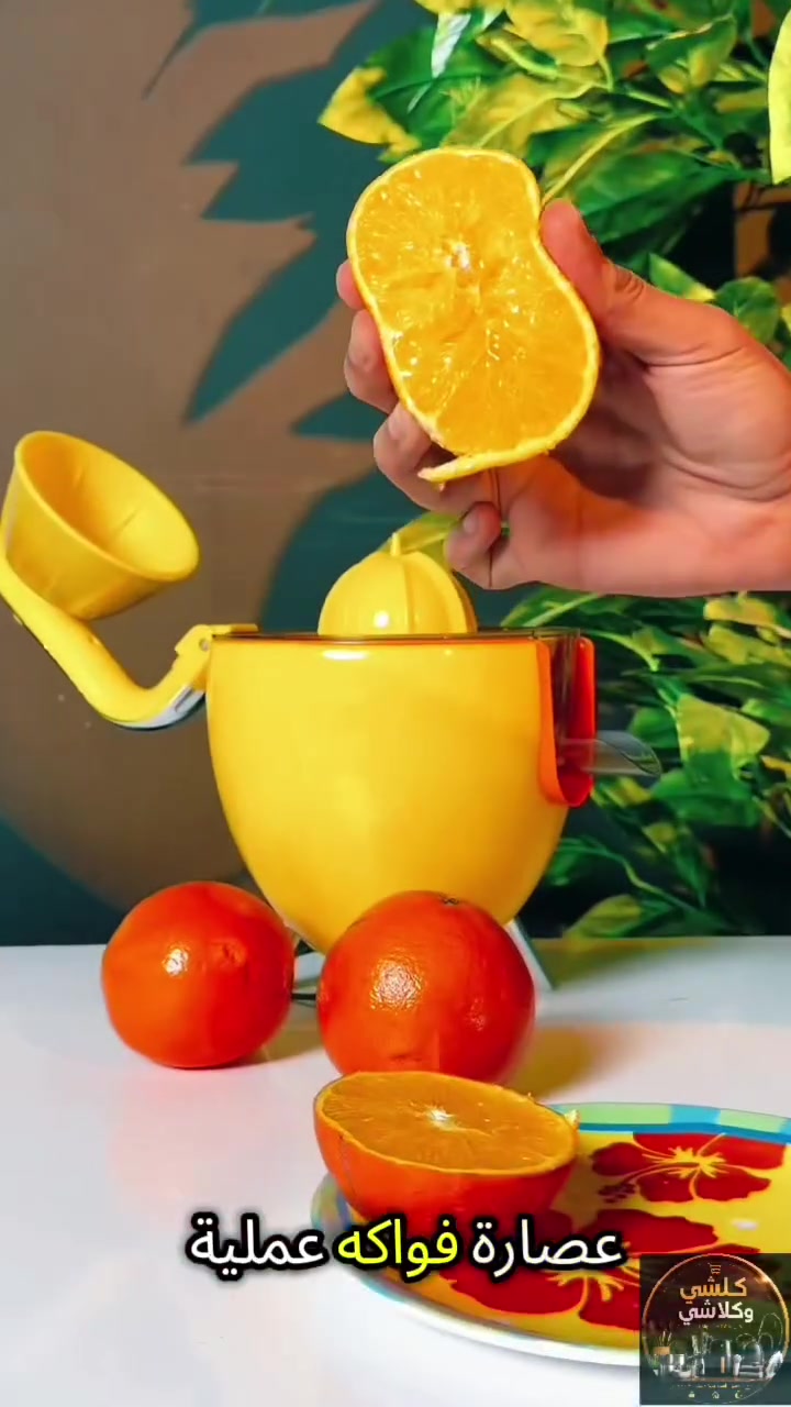 �💛 عصير طازج بدون تعب!

عصارة قوية 300 واط تعطيك كل قطرة من الحمضيات 🍋
ذراع ضغط سهل الاستخدام وفوهة مانعة للتنقيط ✨
مخروطان لجميع الأحجام، قطع قابلة للغسل في غسالة الصحون 🧼
خالية من BPA وصحية على طول! 💪

🍹 استمتع بعصيرك اليومي بكل سهولة وفرحة
السعر 22 الف
التوصيل داخل بغداد 3 الف
باقي المحافظات 5 الف


**إذا كنت صاحب هذا الإعلان وتريد حذفه لأي سبب، رجاءا أرسل رسالة إلى الدعم الفني**