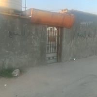 حي النصر • ١١٥م • زراعي