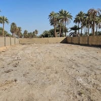 كربلاء الدويهية • ربع دونم • طابو زراعي