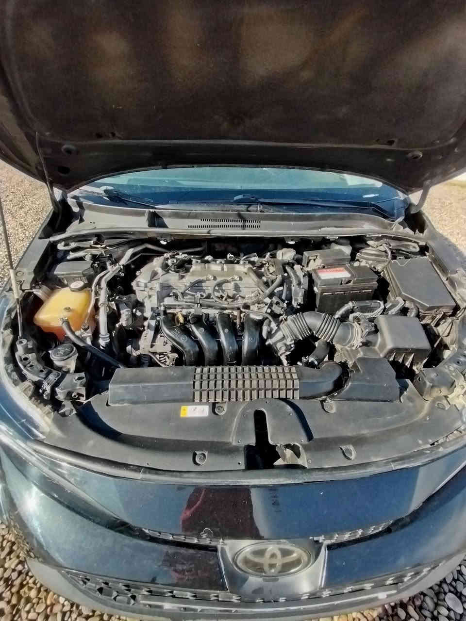 كورلا للبيع 2020 رقم اربيل بيها ضرر بونيد تبديل وجاملغات بيهن صبغ بدون دواخل بدون ايرباك صور الضرر مرفقة بالمنشور محرك وگير وصدر وحجر بيئة و رادار شرط داخل لونين تايرات جدد
السعر 134 وبيها مجال وترهم مقدمة زينة والباقي أقساط /الشرقاط اسديرة وسطى ***********
