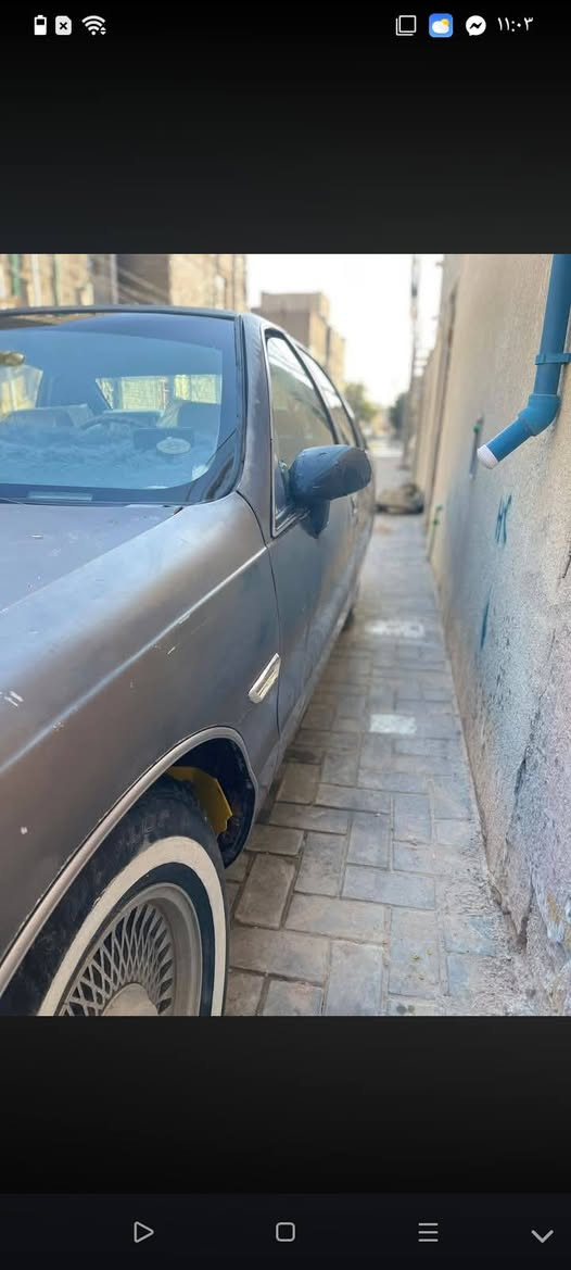 دولفين   موديل 1991 
مكينه وكير. مال معاتب ترايك بيه 120 
 سياره راعيه بلبصره يمي. 
ملاحضاته ( كشره تعبانه. وبدلت لسيترن رجعت لبلادي مالته وختلفن لفيش  عندي. انه شتريت دركه كامله هيه وفيشه سعره. 20 قفل  🛑🛑


**إذا كنت صاحب هذا الإعلان وتريد حذفه لأي سبب، رجاءا أرسل رسالة إلى الدعم الفني**