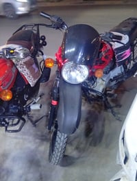 بوكسر جبلي • ٢٠٢١ • اوراق