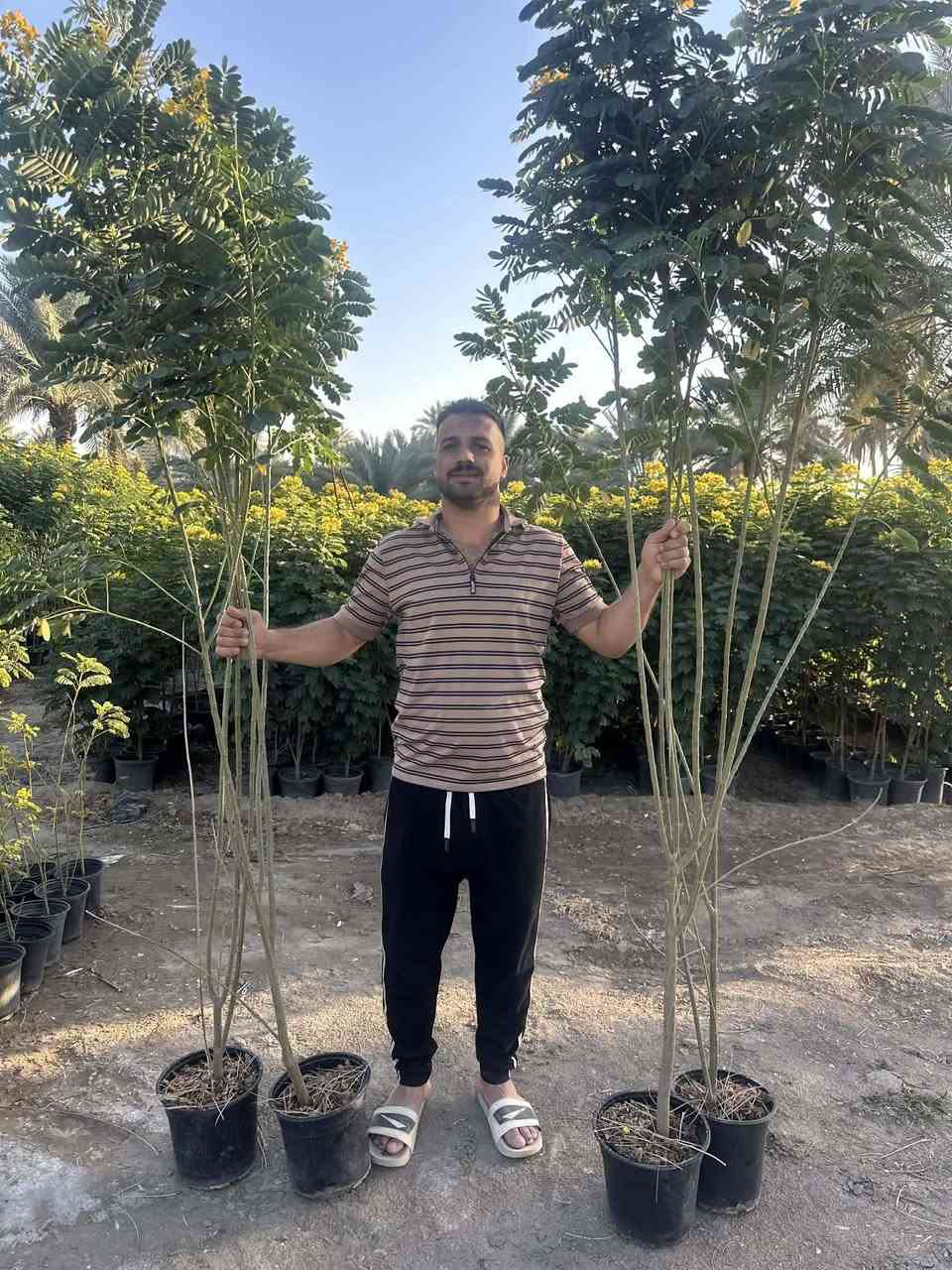 كلشي وكلاشي موجود وبأسعار تنافسية
النفضيات بمختلف أصنافها واحجامها متوفرة 

خوخ 🍑 
كوجه 
مشمس 
تفاح 
عرموط 
كاكي
الو
تكي 
تين
رمان 
كالبتوز 

وكلشي متوفر 

بمشتل الرياحين 😍 الأسعار تعجبك أن شاء الله 😍

عنواني / حله - رارنجيه 

للأستفسار 

***********
