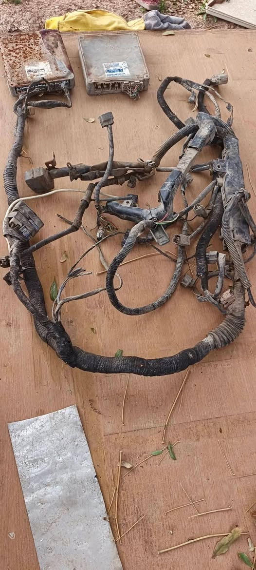 السلام عليكم 
غراض هارتوب و بطه وارنب 
كلهن انضاف شرط الشغل 
ديلكو مع الوايرات ٧٥ الف 
ظفيره نظيفه حيل سعرها ١٠٠ الف
اكسن مع الدرايمات ٢٠٠ الف
بخاخات مع المصدره ولف راجع شرط الشغل سعرهن ٨٠ الف
طبلات خلفيه شرط الشغل والنظافه سعرهن ١٩٠ الف الزوج

عندي غرفه كامله هارتوب نقصها بس ابطاين الاماميات سعرها كامله ٦٠٠ 
دشبول كامل نظيف
كشنات كامله كهرباء
فرس نظيف 
ابطاين خلفيات جدد
تنته والكصه مالتها جدد
دشبول خلفي جدد
دركه مع الكفرات جدد

مكانها الحله حي العسكري 
***********
