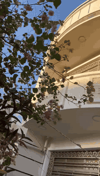 دار طابقين • سند ٢٥ زراعي • واجهة ٧٫٥م