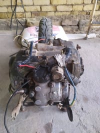 فراشة • ماكس عدلة • مراوس