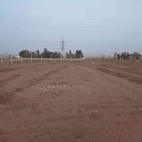 قرب جسر السادس • ٢٠٠م • سند زراعي